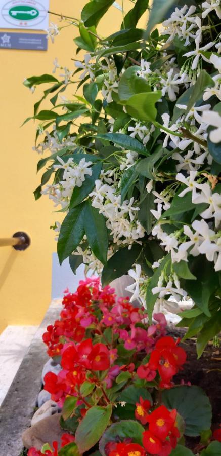 Mediterranean Concept House Hotel Специя Екстериор снимка